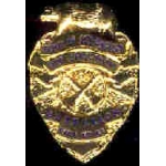 LOS ANGELES COUNTY, CA FIRE DEPT BATTALION CHIEF MINI BADGE PIN